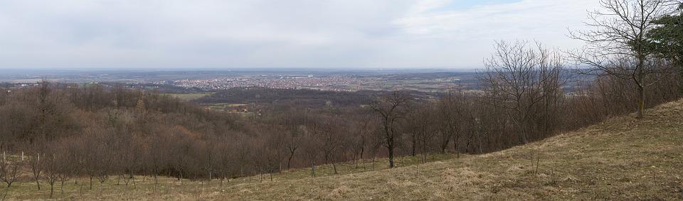 DSC00334-41