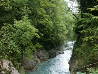 DSC02243  Javorca, Tolminka Canyon, The source of Soca - June 9, 2013