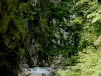 DSC02260  Javorca, Tolminka Canyon, The source of Soca - June 9, 2013
