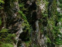 DSC02263  Javorca, Tolminka Canyon, The source of Soca - June 9, 2013