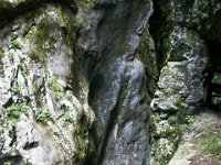 DSC02286  Javorca, Tolminka Canyon, The source of Soca - June 9, 2013