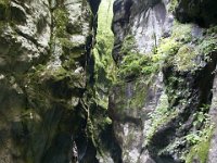 DSC02297  Javorca, Tolminka Canyon, The source of Soca - June 9, 2013