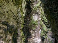 DSC02311  Javorca, Tolminka Canyon, The source of Soca - June 9, 2013