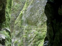DSC02313  Javorca, Tolminka Canyon, The source of Soca - June 9, 2013