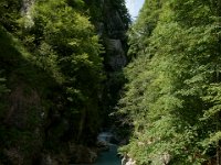 DSC02323  Javorca, Tolminka Canyon, The source of Soca - June 9, 2013