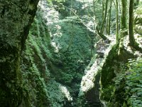 DSC02377  Javorca, Tolminka Canyon, The source of Soca - June 9, 2013