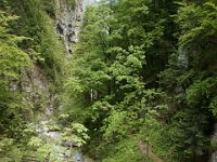 DSC01909  Martuljek Waterfalls - Vrsic, Julian Alps, Slovenia, Jun 7, 2013