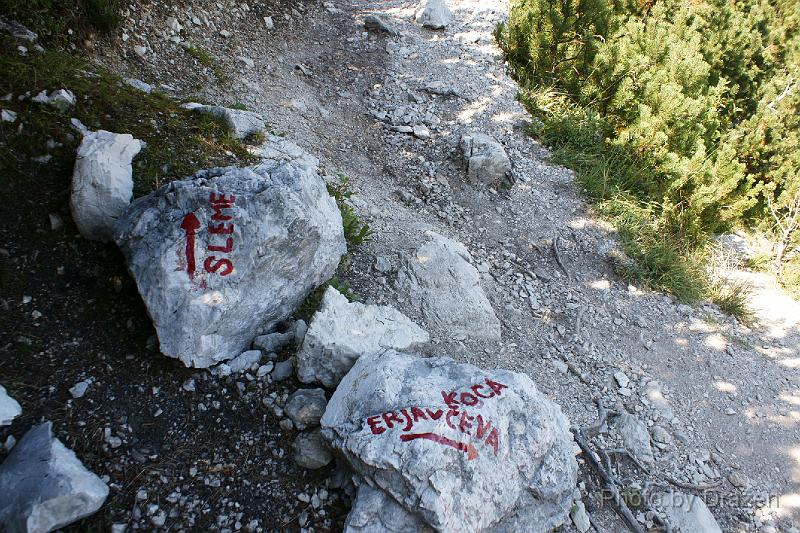 DSC02155.JPG