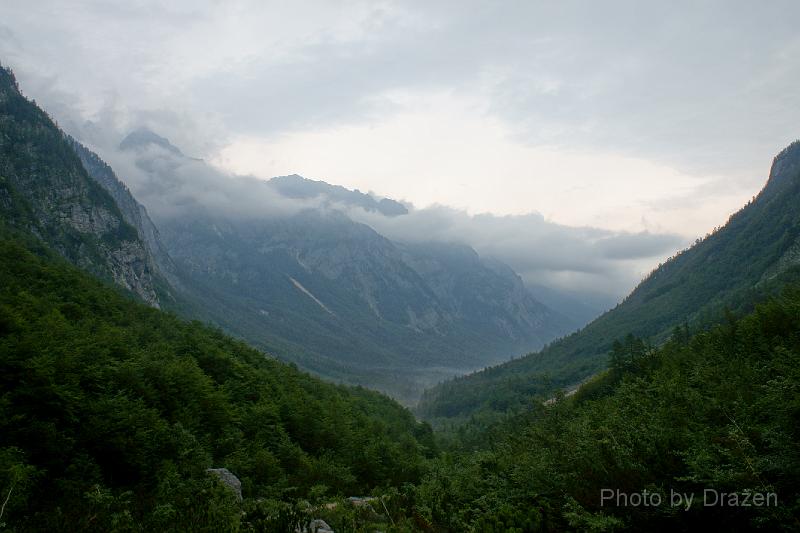 DSC02335.JPG