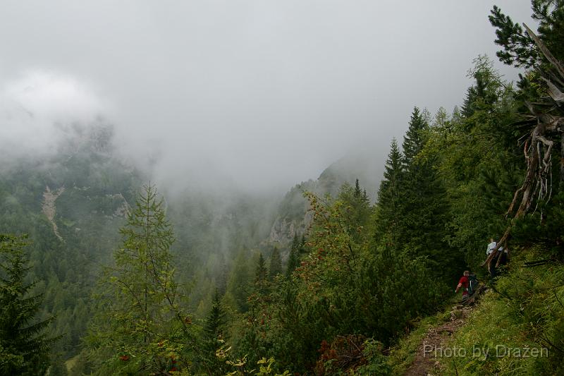 DSC02345.JPG