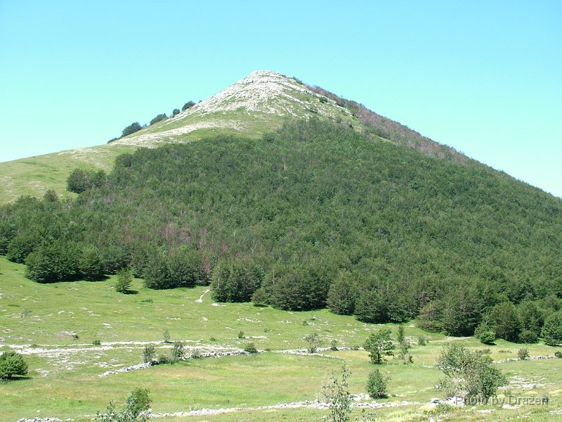 2004_0711Image0046.JPG