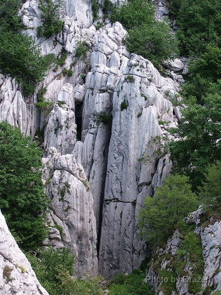 2004_0711Image0057.JPG