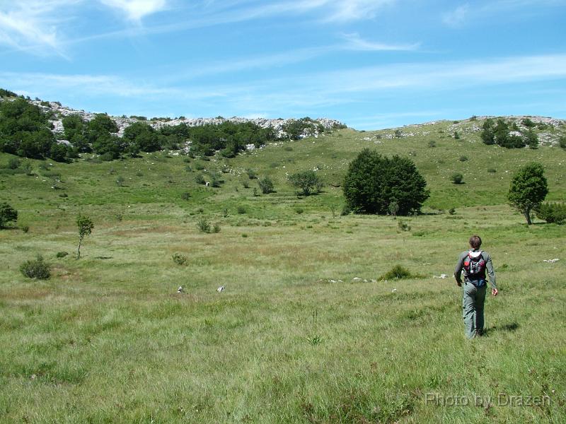 DSCF5954.JPG