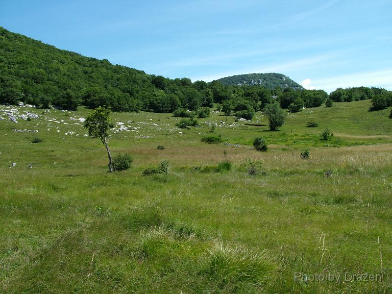 DSCF5955.JPG