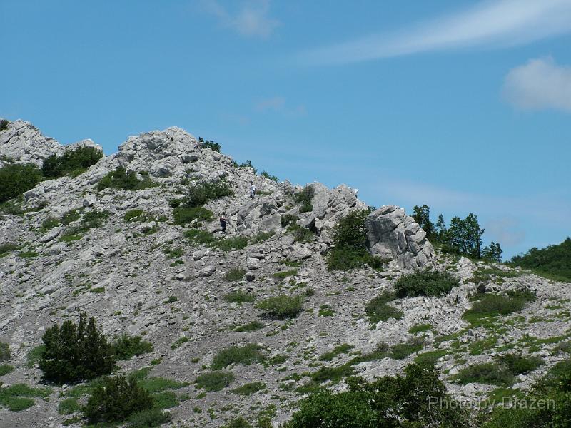 DSCF5966.JPG