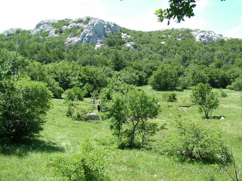 DSCF5971.JPG