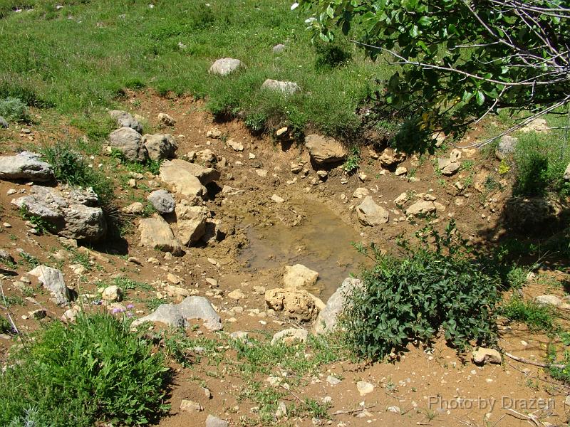 DSCF5972.JPG