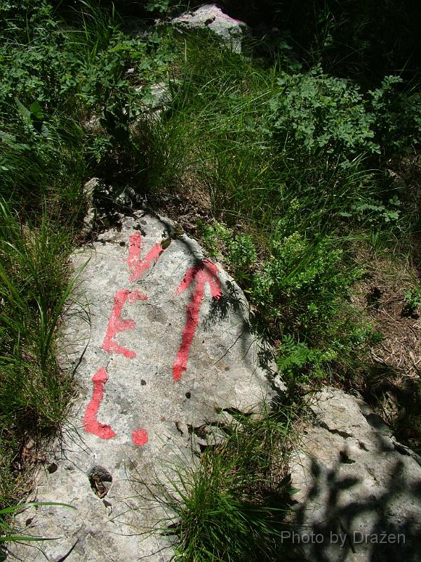DSCF5973.JPG