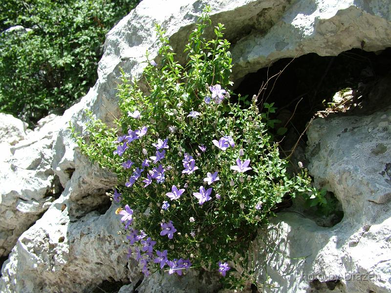 DSCF5974.JPG