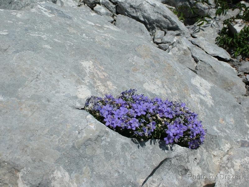DSCF6006.JPG