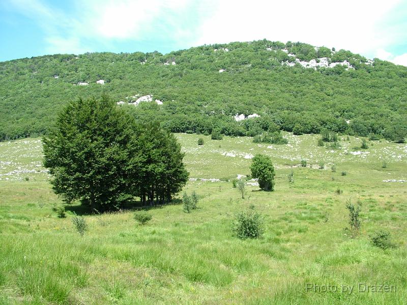 DSCF6016.JPG