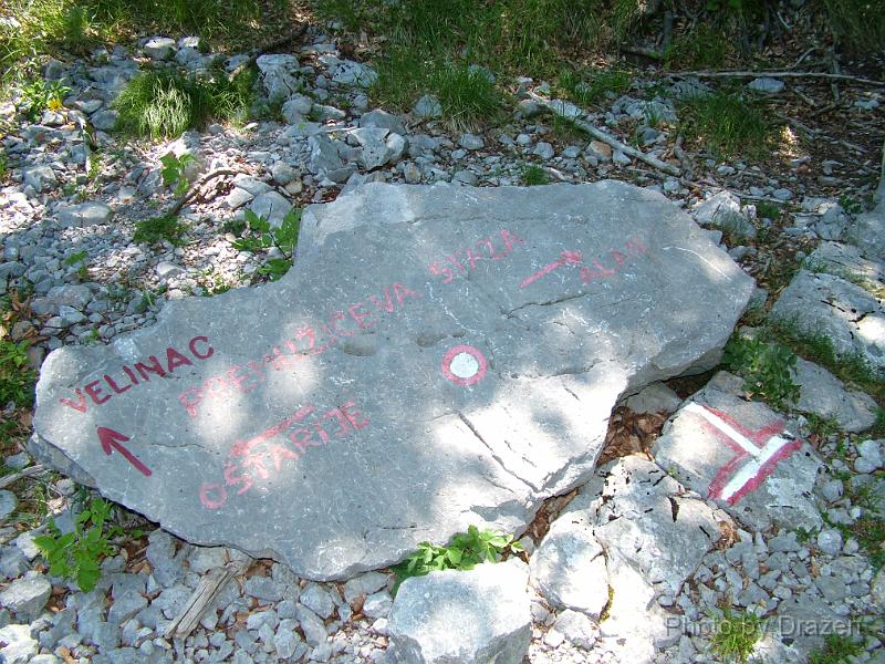 DSCF6021.JPG