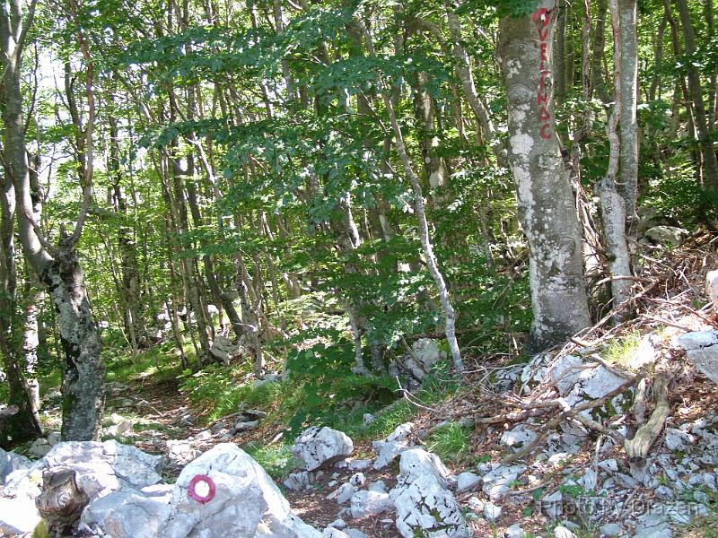 DSCF6023.JPG