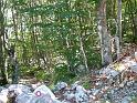 DSCF6023