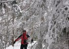 DSC00352  Zavizan, Mt Velebit, Feb 28 - Mar 1, 2013