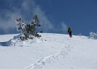 DSC00456  Zavizan, Mt Velebit, Feb 28 - Mar 1, 2013