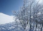 DSC00457  Zavizan, Mt Velebit, Feb 28 - Mar 1, 2013