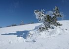DSC00464  Zavizan, Mt Velebit, Feb 28 - Mar 1, 2013