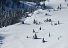 DSC00730  Kapelica Sv Ante, Zavizan, Mt Velebit, Feb 28 - Mar 1, 2013