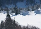 DSC00740  Parkiralište, Zavizan, Mt Velebit, Feb 28 - Mar 1, 2013