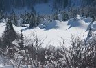 DSC00744  Zavizan, Mt Velebit, Feb 28 - Mar 1, 2013
