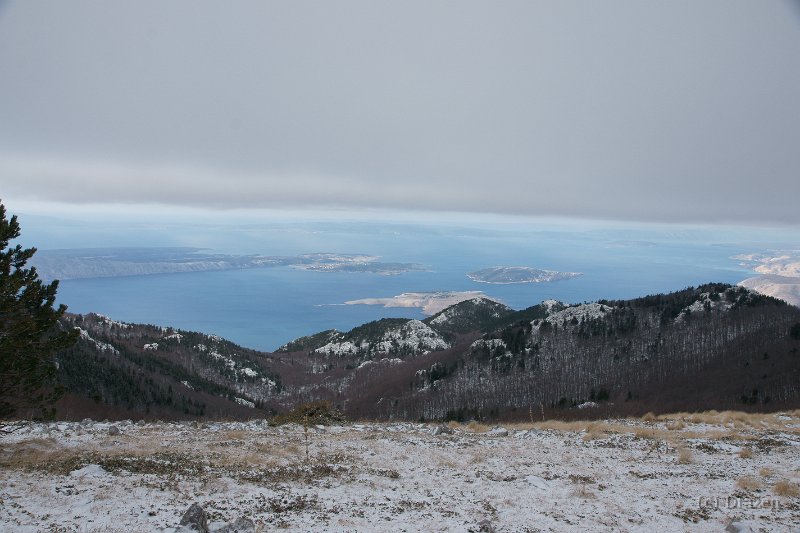 DSC07908.JPG
