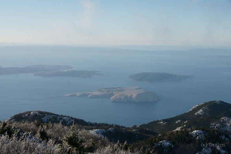 DSC07986.JPG