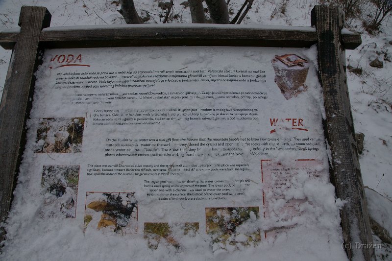 DSC08035.JPG