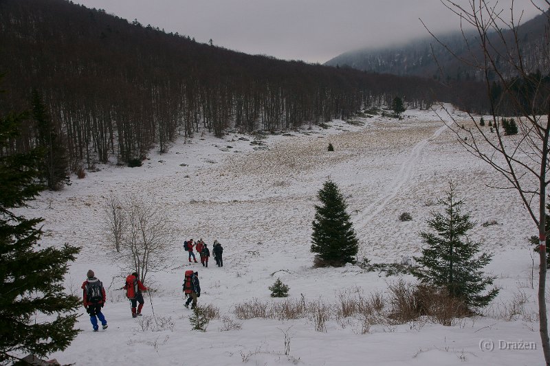 DSC08043.JPG - Pandorina plan