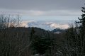DSC07905