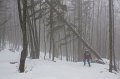 DSC08031
