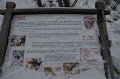 DSC08035