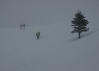 DSC09290  Zavizan, Mt Velebit, Decembar 15-16, 2012