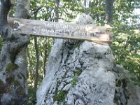 DSC01087  Premuzic Mountain Trail, July 25-27, 2013