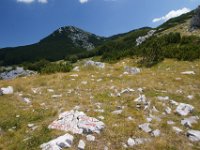 DSC01109  Prema Ograđenici, Premuzic Mountain Trail, July 25-27, 2013