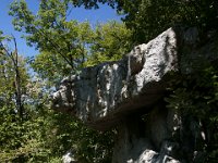DSC01202  Premuzic Mountain Trail, July 25-27, 2013