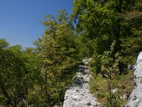 DSC01204  Premuzic Mountain Trail, July 25-27, 2013