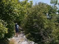 DSC01211  Premuzic Mountain Trail, July 25-27, 2013