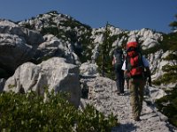 DSC00948  Premuzic Mountain Trail, July 25-27, 2013