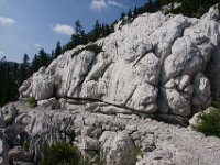 DSC00962-P066EV  Premuzic Mountain Trail, July 25-27, 2013